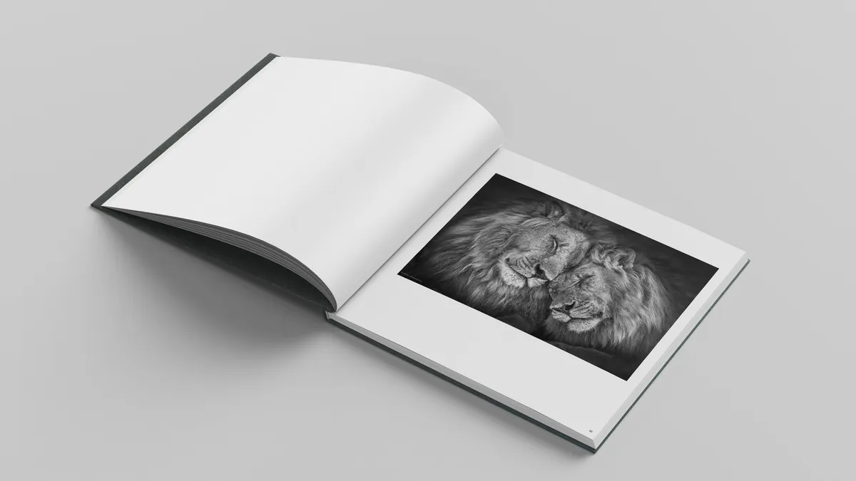 Limited edition copies of "The Soul of Africa's Wild" - Image 4